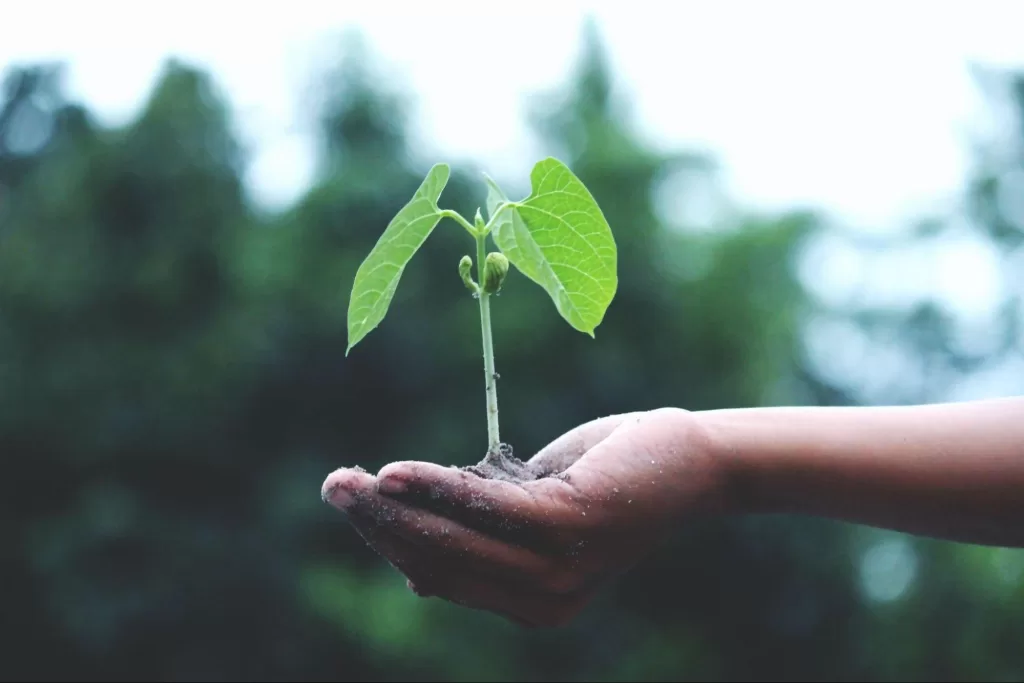 This person found a way to sprout a little sapling out of their hand. That’s the kind of initiative I like to see!